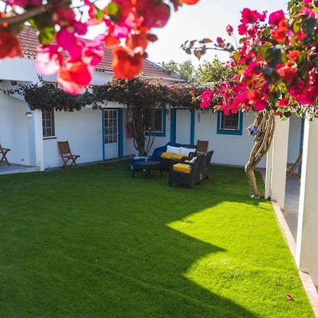 Villa Berlenga อาโตเกีย ดา บาเลยา ภายนอก รูปภาพ